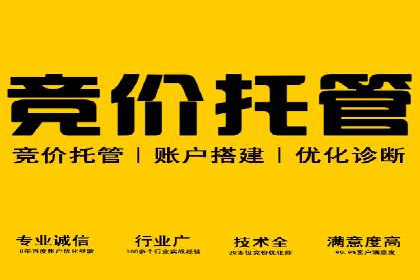 百度竞价推广运营实战技巧与经典案例剖析